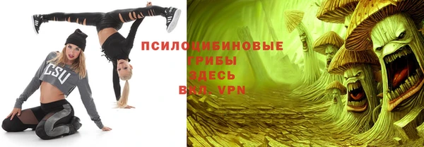 спайс Няндома